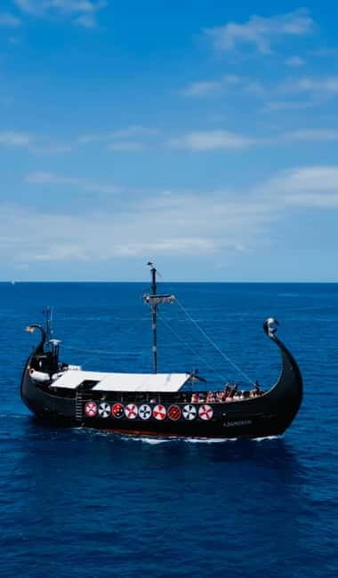 Los Cristianos: Whale Watching Cruise w/Swim Stop & Drinks - Who will enjoy this cruise most