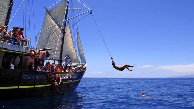 Los Gigantes: Dolphin and Whale Watching Tour with Drinks - Who will enjoy this boat trip most?