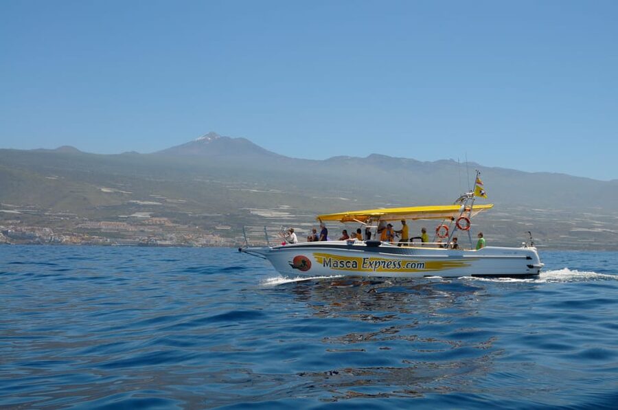 Los Gigantes: Dolphin & Whale Watching Cruise with Swim Stop - Sailing beneath the Los Gigantes cliffs