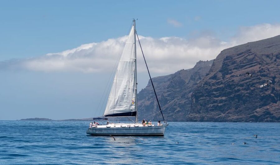 Los Gigantes: Sailing Excursion with Swimming, Drink & Tapas - Five things that make this boat trip different
