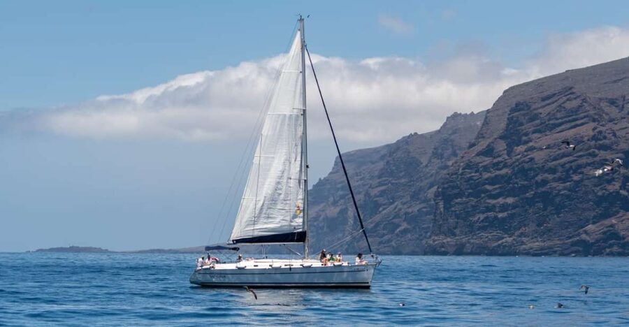 Los Gigantes: Sailing Excursion with Swimming, Drink & Tapas - Leaving Puerto de Los Gigantes on the Sangría