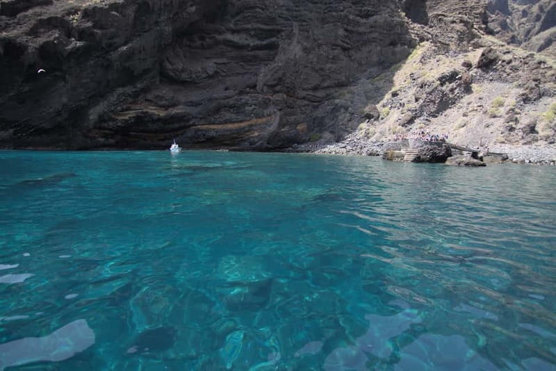 Los Gigantes: Whale or dolphin watching and swimming tour in Masca - Who should book this two-hour outing?