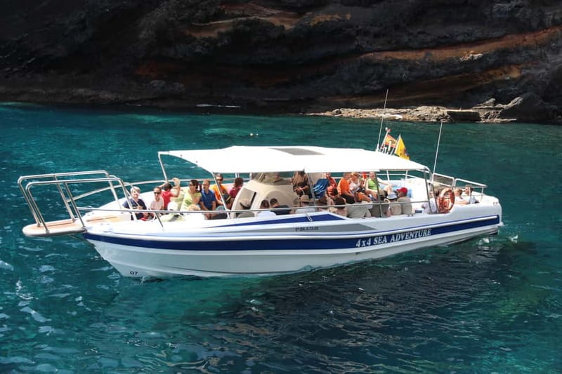Los Gigantes: Whale or dolphin watching and swimming tour in Masca - Searching for whales and dolphins offshore