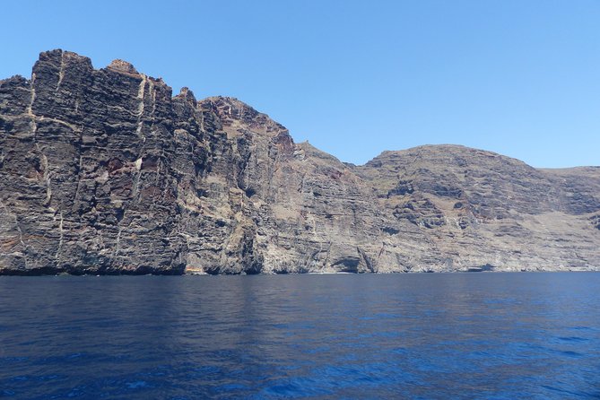 Los Gigantes Whale Watching Charter by Sail Boat - Price, value, and the right kind of day