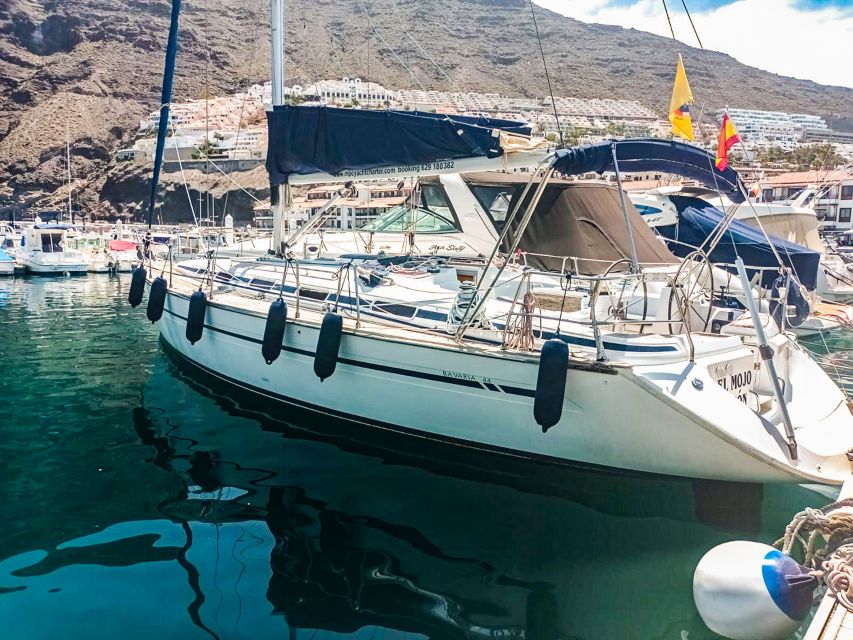 Los Gigantes: Whales and Dolphin Watching Cruise with Lunch - Should you book this Los Gigantes cruise?