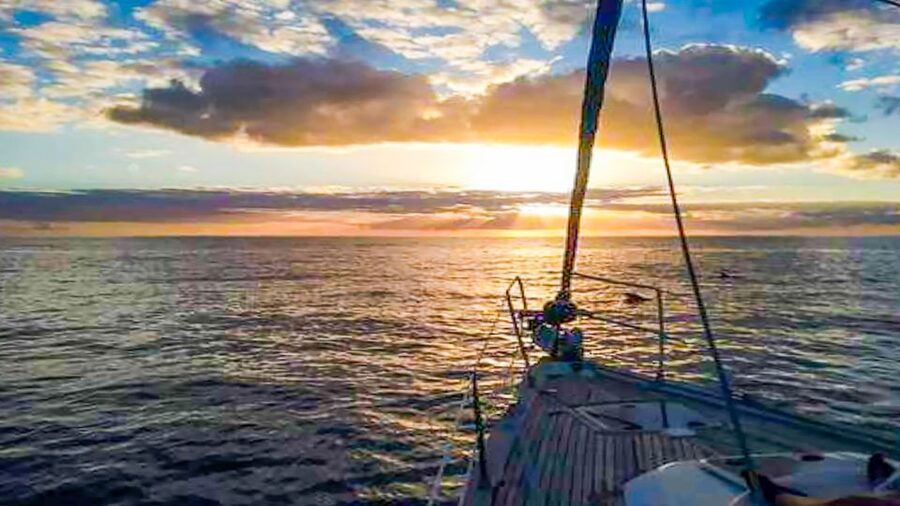 Los Gigantes: Whales and Dolphin Watching Cruise with Lunch - How much value do you get for $74?