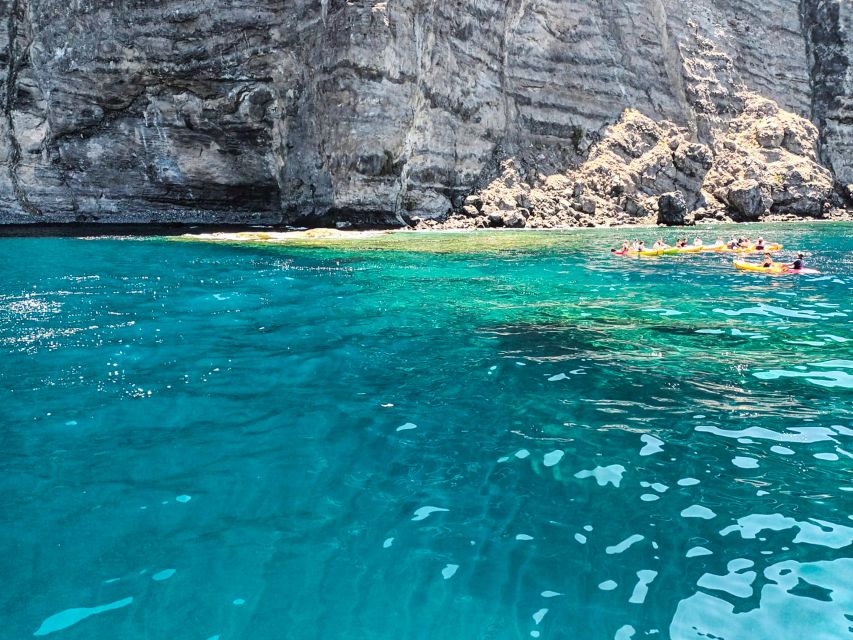 Los Gigantes: Whales and Dolphin Watching Cruise with Lunch - Useful tips for a smoother trip