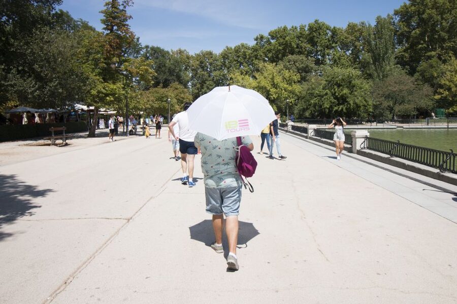 Madrid: 1.5-Hour Retiro Park Guided Walking Tour - What the $10 price really buys you