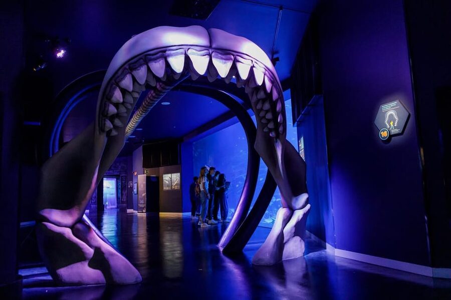 Madrid: Atlantis Aquarium Entry Ticket - Key points at a glance