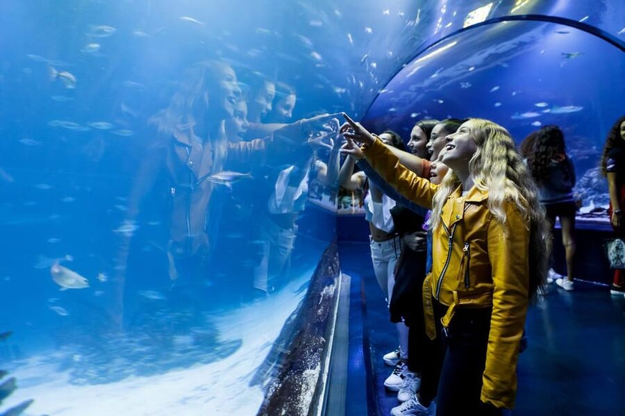 Madrid: Atlantis Aquarium Entry Ticket - Beginning with mangroves and shallow-water habitats