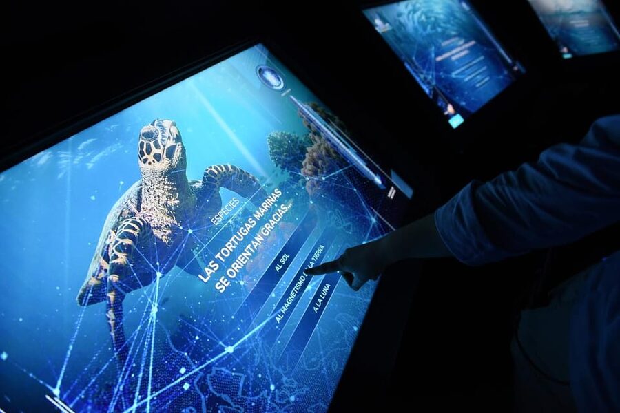 Madrid: Atlantis Aquarium Entry Ticket - Jellyfish and the colder world of Antarctica