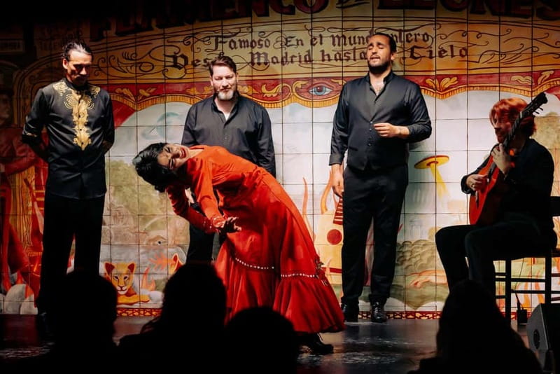 Madrid: Authentic Flamenco at Flamenco de Leones with drink - Who should book this flamenco show?