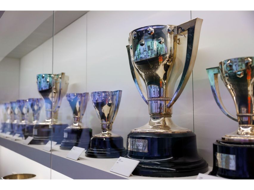 Madrid: Bernabeu Stadium Private Tour - Who will enjoy this most