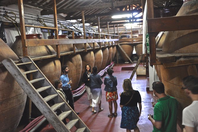 Madrid Countryside Wineries Guided Tour with Wine Tasting - Key Points to Know Before Booking