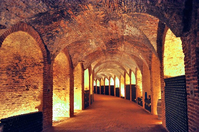 Madrid Countryside Wineries Guided Tour with Wine Tasting - Stop One: Organic Wine at Señorio de Val Azul