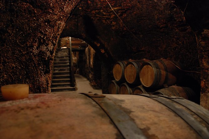 Madrid Countryside Wineries Guided Tour with Wine Tasting - Stop Three: Clay Jars and Caves at Bodegas Jesús Díaz e Hijos
