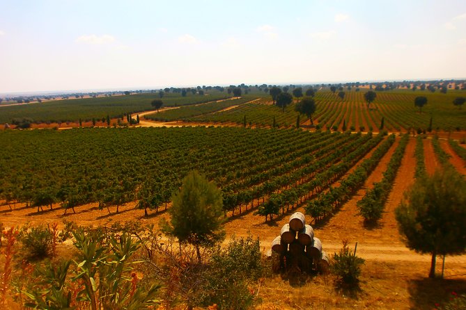 Madrid Countryside Wineries Guided Tour with Wine Tasting - What You Will Taste and Eat