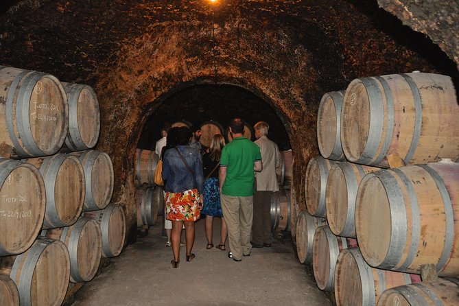 Madrid Countryside Wineries Guided Tour with Wine Tasting - Who Will Enjoy This Day Most?