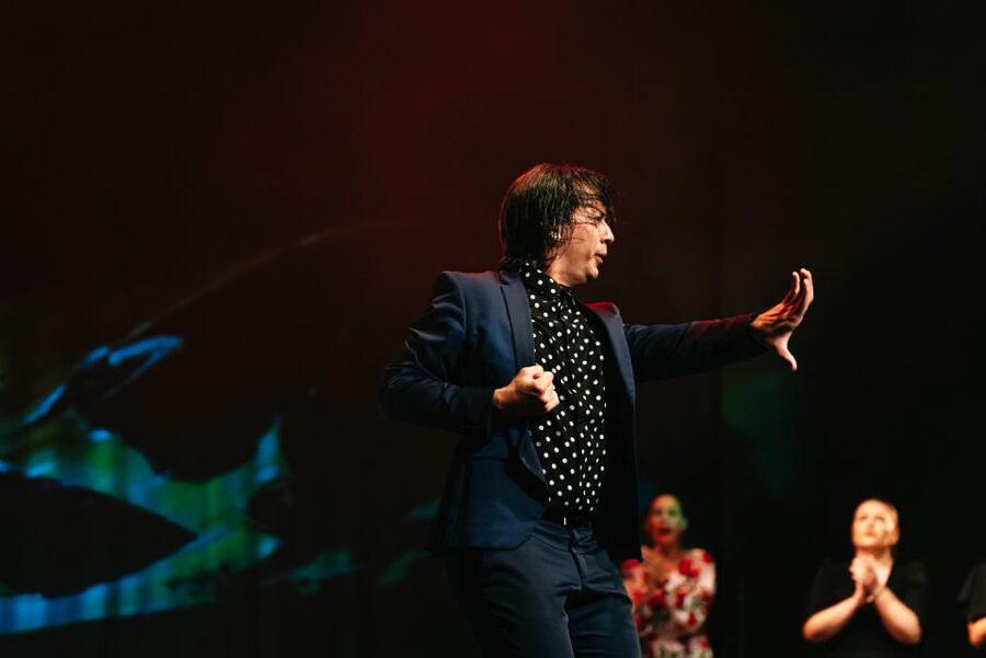Madrid: "Emociones" Live Flamenco Performance - What makes Teatro Flamenco Madrid different