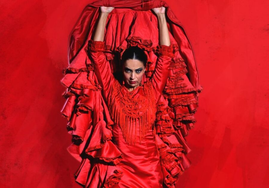 Madrid: "Emociones" Live Flamenco Performance - The one-hour performance: dancers, singers, and guitar
