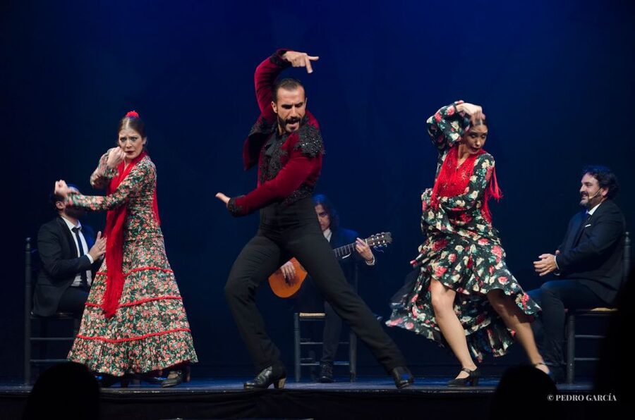 Madrid: "Emociones" Live Flamenco Performance - Who will enjoy this flamenco show most?