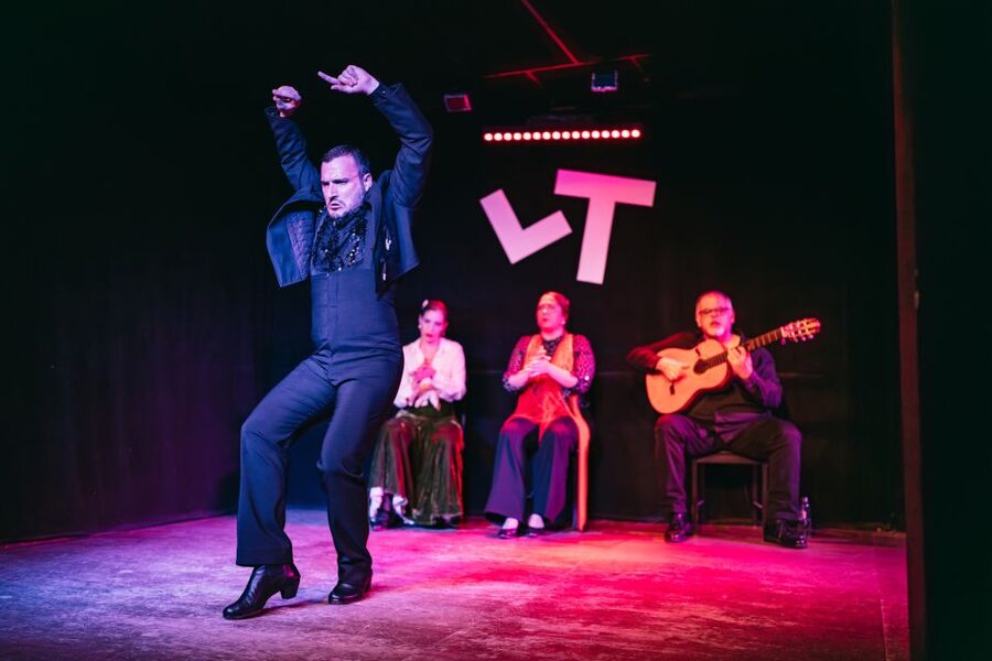 Madrid: Flamenco Show at Tablao "Las Tablas" with Drink - What happens during the one-hour performance
