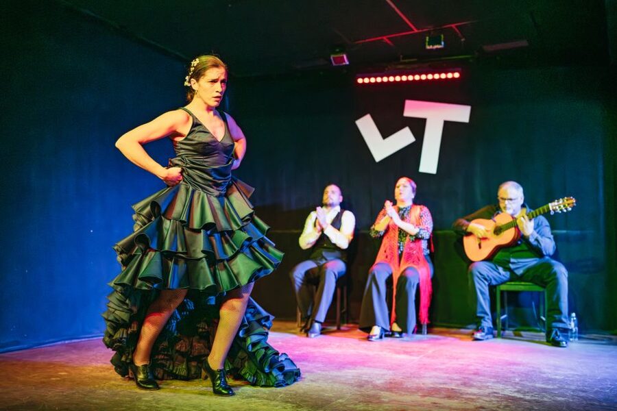 Madrid: Flamenco Show at Tablao "Las Tablas" with Drink - The small room changes the experience