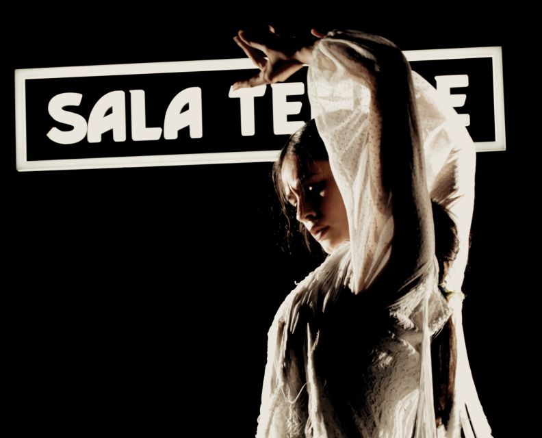 Madrid: Flamenco Show at Tablao Sala Temple with Drink - What happens during the one-hour performance