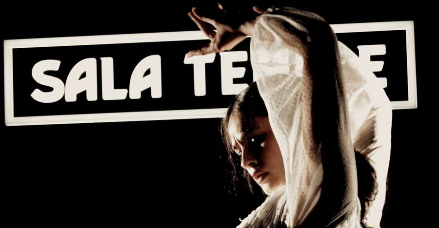 Madrid: Flamenco Show at Tablao Sala Temple with Drink - Getting to Cta. de San Vicente, 40