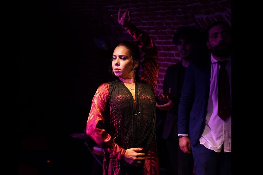 Madrid: Flamenco Show Entry Ticket with Drink & Artist Talk - Why this Madrid flamenco show feels different
