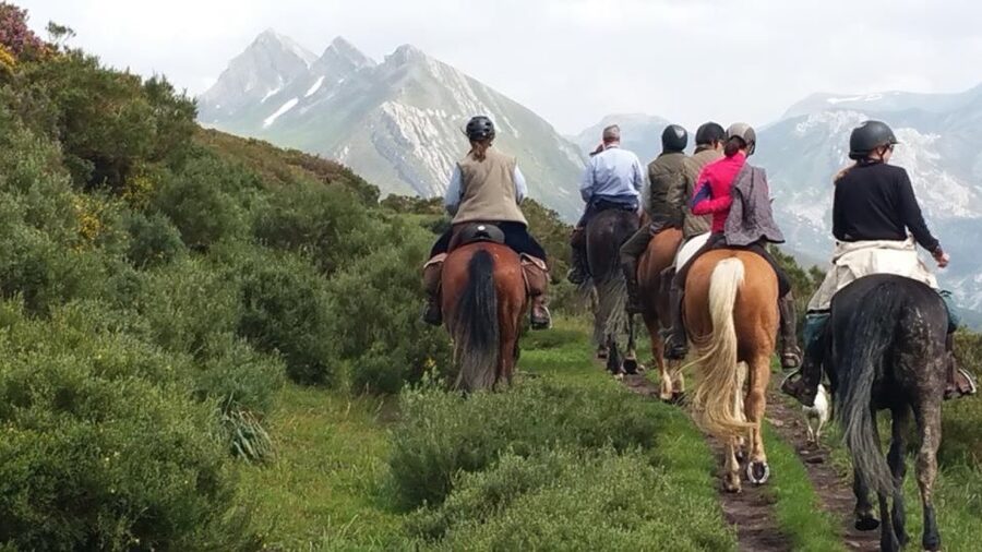 Madrid: Horse Riding in Sierra del Guadarrama National Park - Key points before you book