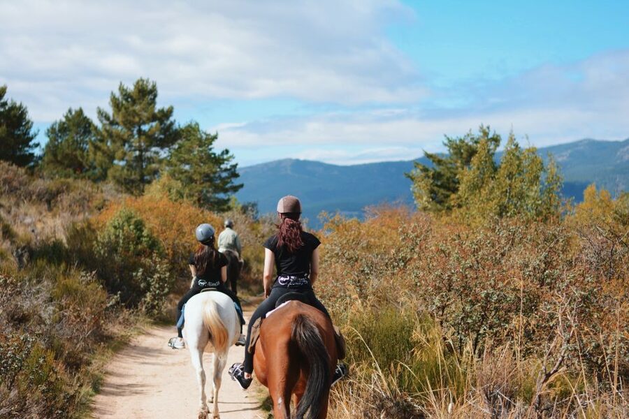 Madrid: Horse Riding in Sierra del Guadarrama National Park - Two hours on a real mountain trail