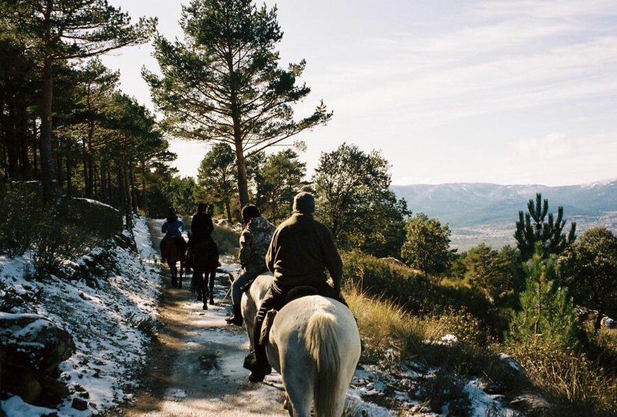 Madrid: Horse Riding in Sierra del Guadarrama National Park - What the $88 price really covers