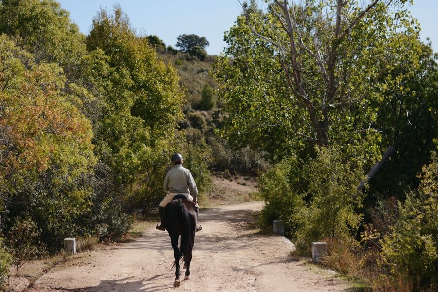 Madrid: Horse Riding in Sierra del Guadarrama National Park - Who should book this ride?