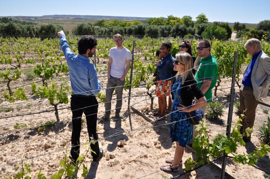 Madrid Region Wineries Guided Tour with Wine Tastings - Key points at a glance