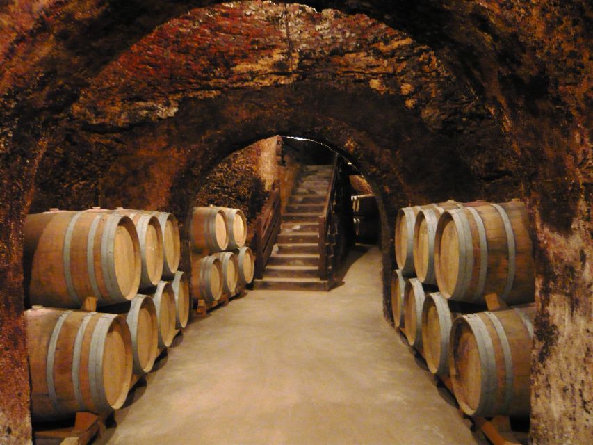 Madrid Region Wineries Guided Tour with Wine Tastings - Why Madrid’s wine country deserves a day