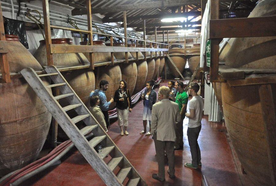 Madrid Region Wineries Guided Tour with Wine Tastings - Third stop: the old caves and clay vessels