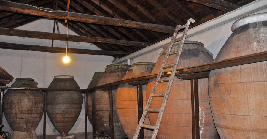 Madrid Region Wineries Guided Tour with Wine Tastings - Starting at Plaza del Conde de Casal