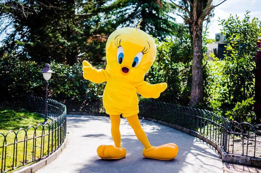 Madrid: Warner Park Entry Ticket - Quick points before you buy