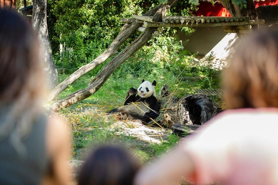 Madrid: Zoo Aquarium Madrid Ticket - The animal areas and their spacious feel