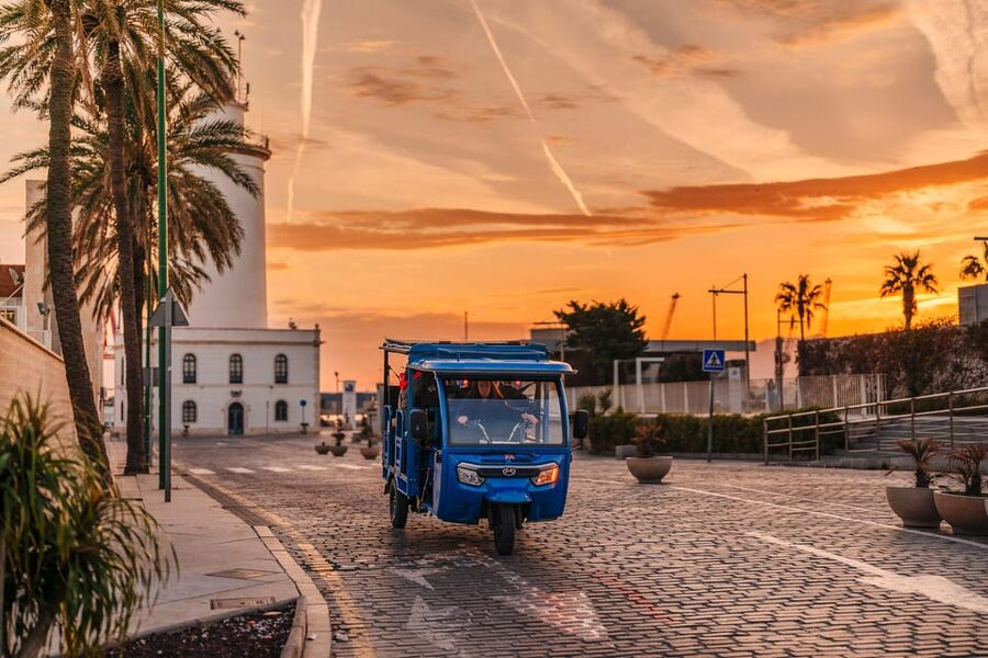 Málaga 2-Hour TukTuki Tour: Private Experience - What the guides add to the ride