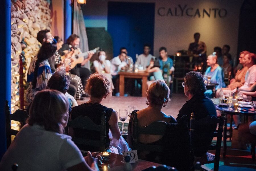 Malaga: Authentic Flamenco Show at El Gallo Ronco - Who should book this show?