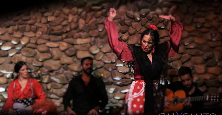 Malaga: Authentic Flamenco Show at El Gallo Ronco - The music, singing, and dance