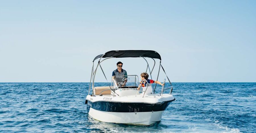 Malaga: Boat Rental without a License for Dolphin Watching - Key points before you book