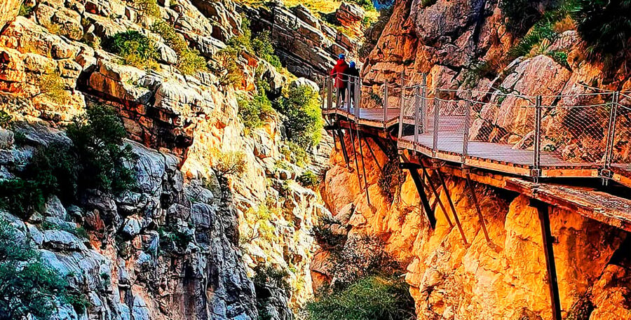 Málaga: Caminito del Rey Guided Tour with Transportation - The guides are a major part of the value