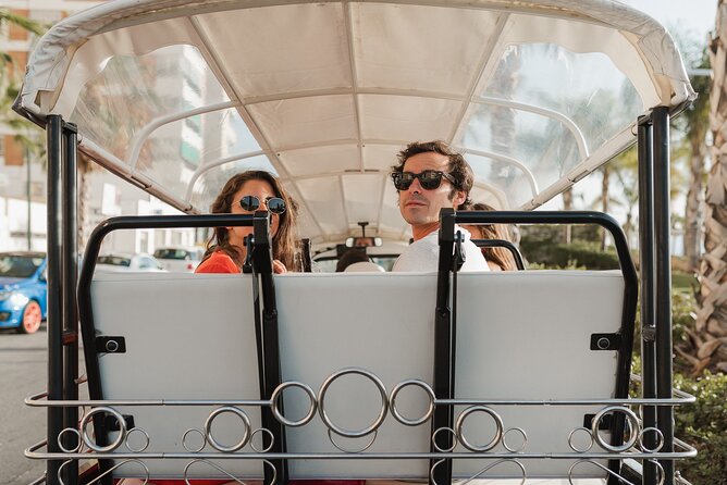 Malaga Expert Tour with Local Guide in Eco Tuk Tuk Private - La Farola and La Malagueta Beach