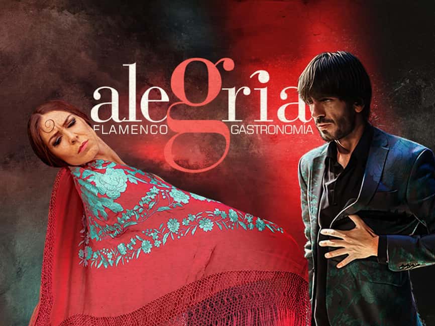 Málaga: Live Flamenco Show at Flamenco Alegría - Key Points for Planning Your Evening