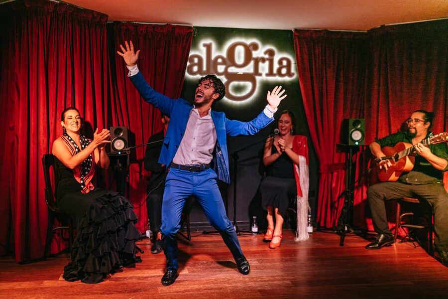 Málaga: Live Flamenco Show at Flamenco Alegría - When Guitar and Voice Join the Stage