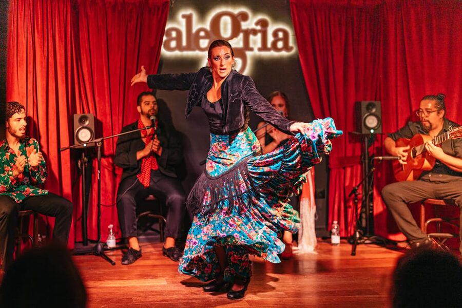 Málaga: Live Flamenco Show at Flamenco Alegría - Individual Dancer Solos and the Emotional Core
