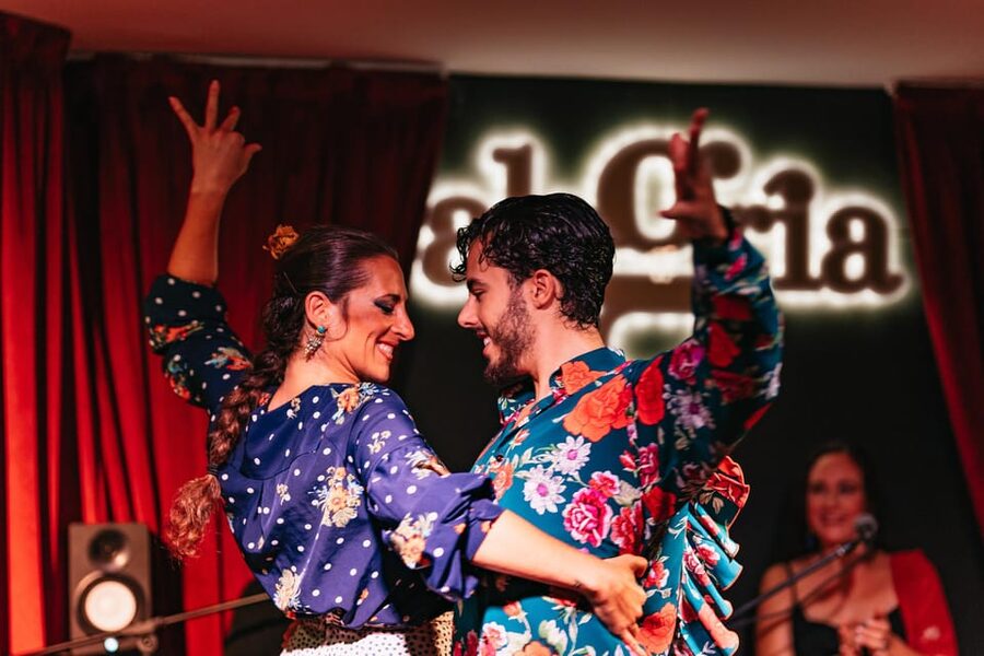 Málaga: Live Flamenco Show at Flamenco Alegría - Is One Hour Enough for $30?